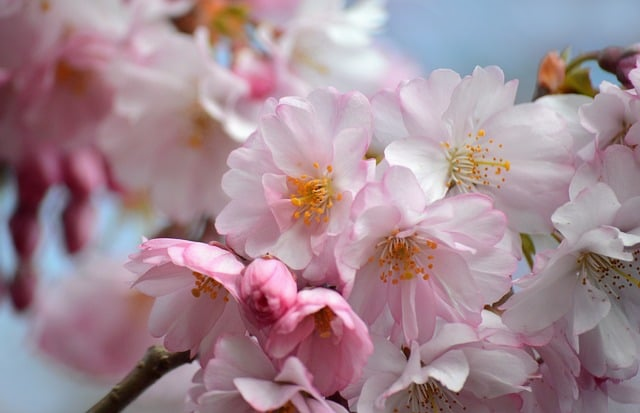 从幕后视角看高尔夫球四大满贯赛事：奖金格局、球场门槛与普通球迷的真实距离