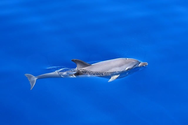 从练习场到球场，高尔夫基础知识及规则一文说透你的新手焦虑
