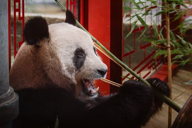 从练习场到果岭，高尔夫的10个基本知识：一位职业教练的真心提醒