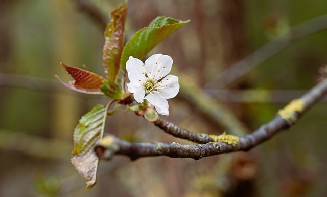 高尔夫挥杆速度对照表：业余到低差点球手的隐秘“实力分级”