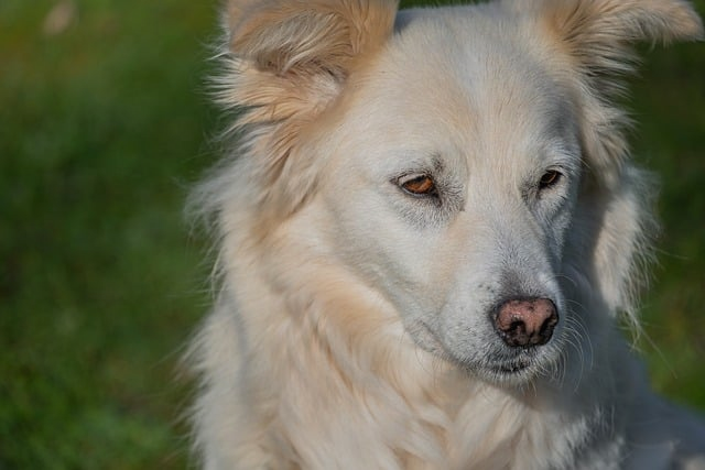 美国大师赛为什么总能让顶级球员失手一位赛事观察员拆解2026年最值得读懂的细节