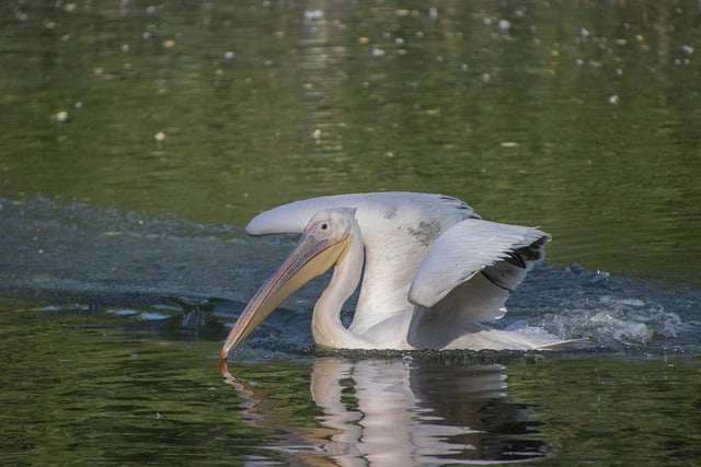 一位巡回解说员眼中的高尔夫四大赛事:比冠军更残酷的真相 一位巡回解说员眼中的高尔夫四大赛事:比冠军更残酷的真相