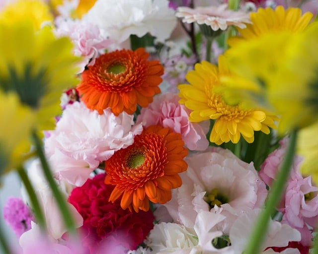 高尔夫四大满贯的残酷真相：镜头外，我们究竟在拼什么