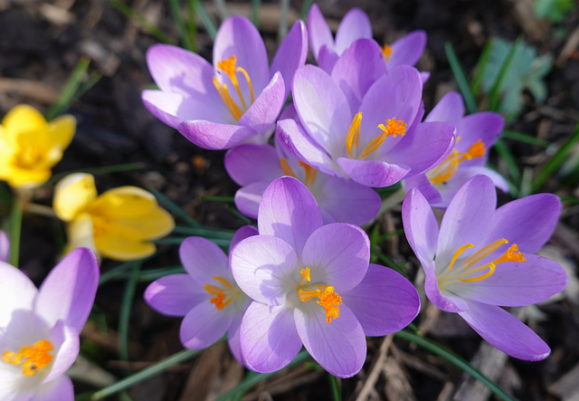 高尔夫入门：业余球友迈向「不再尴尬」的第一堂系统课