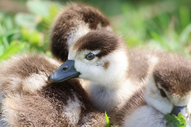 高尔夫入门教程:一位职业教练写给零基础上班族的暖心指南 高尔夫入门教程:一位职业教练写给零基础上班族的暖心指南