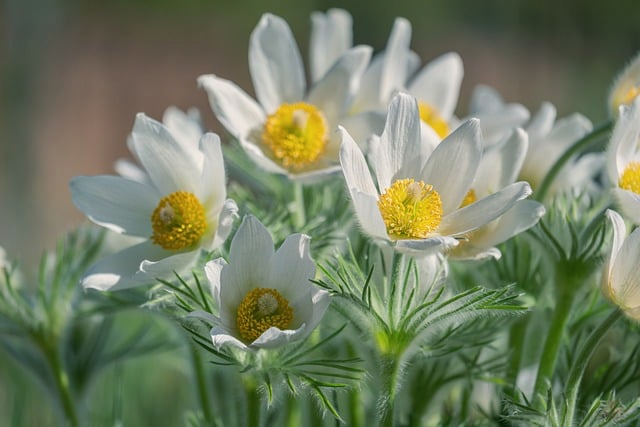 很多人练了半年还没摸到门道：高尔夫挥杆动作分解这次讲透了