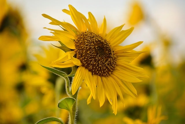 高尔夫打法,从“乱挥杆”到稳定低杆的那条隐形分界线 高尔夫打法,从“乱挥杆”到稳定低杆的那条隐形分界线