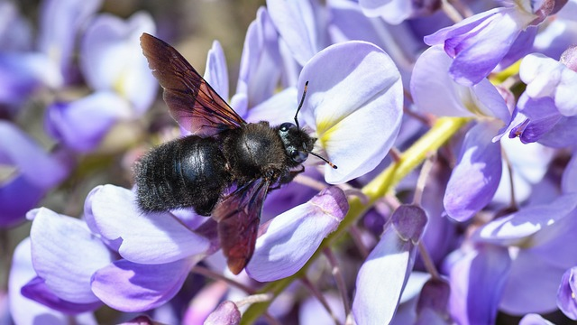 别再盲目练了!高尔夫挥杆原理真正难的,不是发力而是这一点 别再盲目练了!高尔夫挥杆原理真正难的,不是发力而是这一点